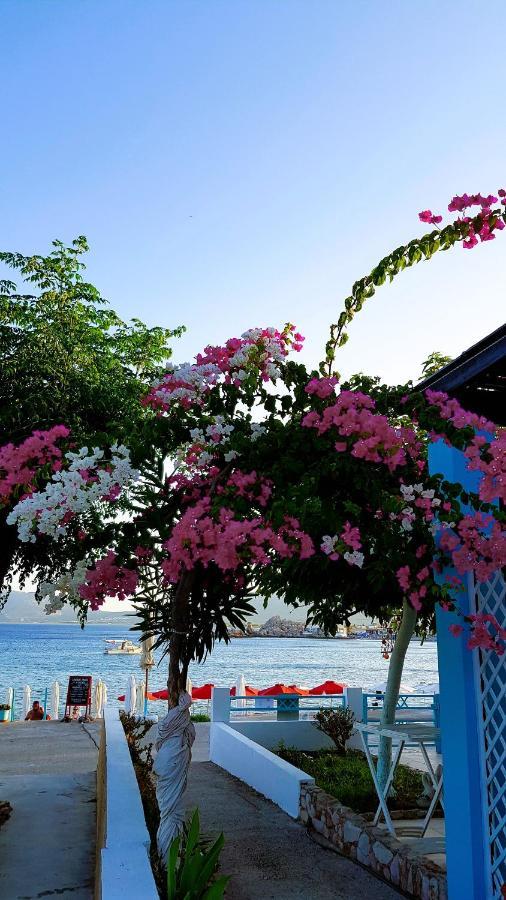 Haraki Mare Studios Beach Front Exterior foto